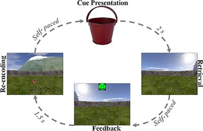 Effects of Spatial Memory Processing on Hippocampal Ripples